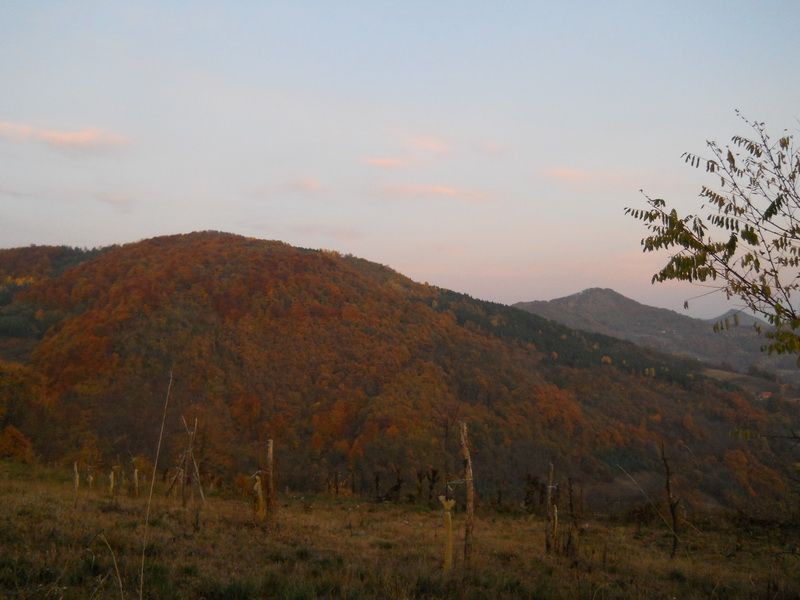 Jesenja idila