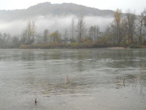 Jutarnje Magla nad Drinom