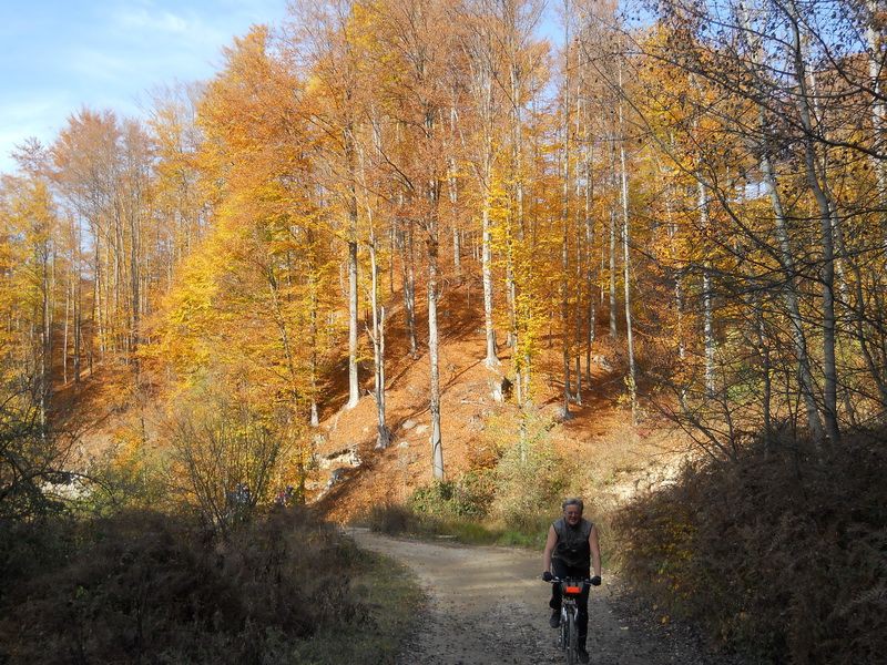 Mile uživa