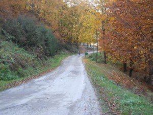 Panta i Kiza iz daleka