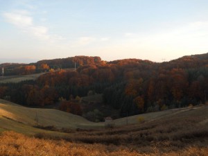 Pogled sa Mačkovog kamena