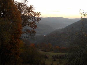 Ponovo Drina