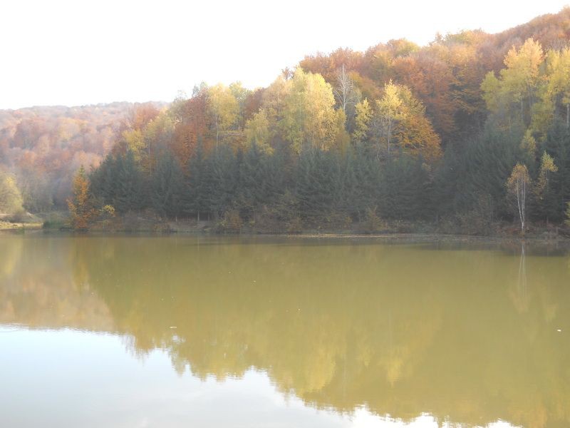 Radaljsko jezero