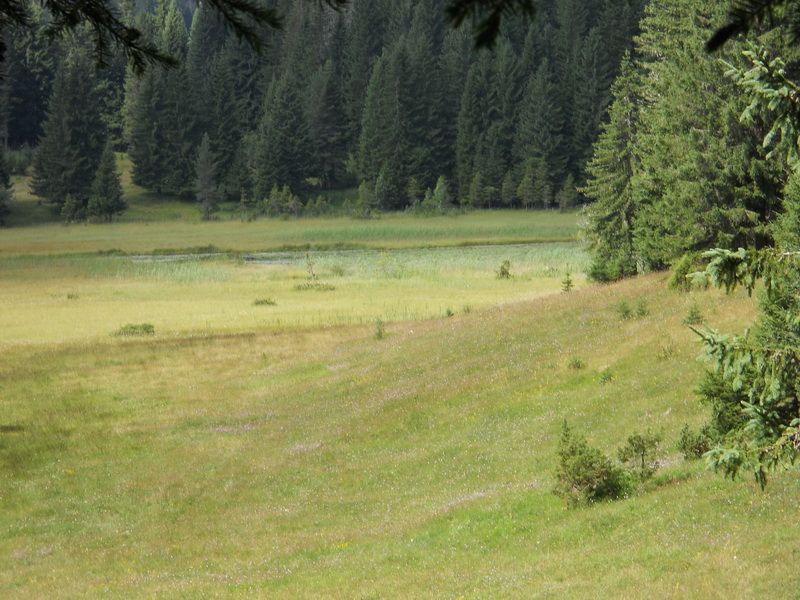 Barno jezero
