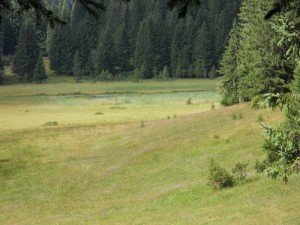 Barno jezero