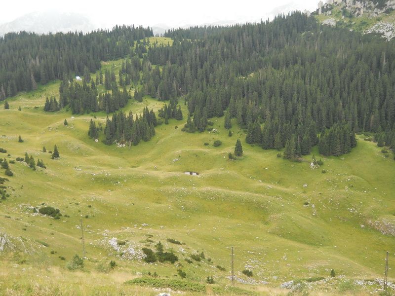 Jablan
