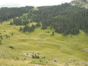 Jablan