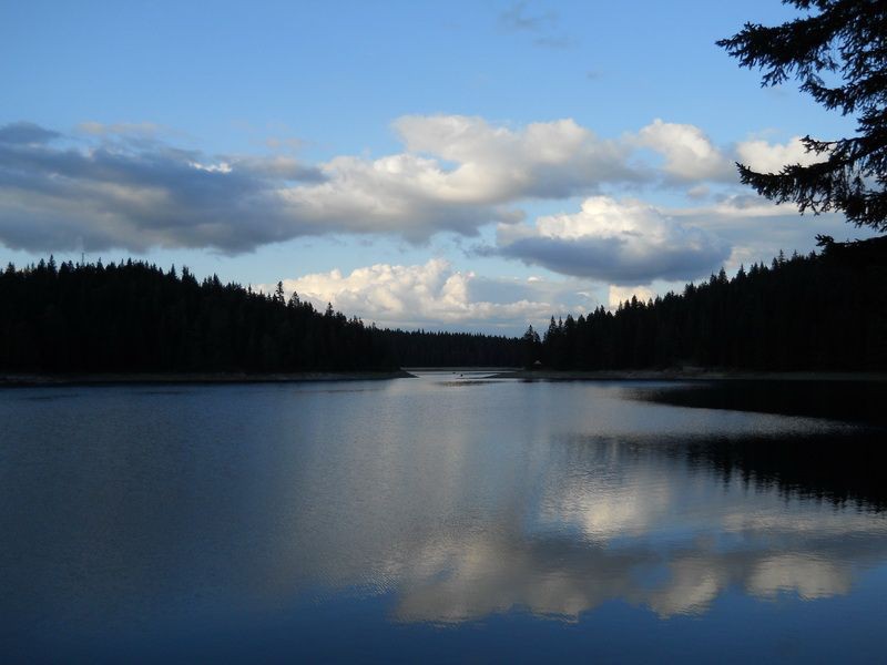 Senka