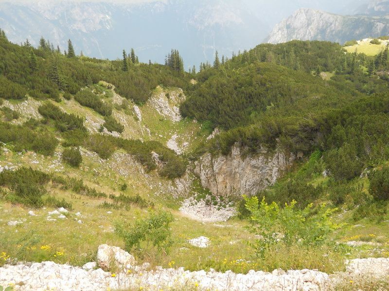 Vrtača