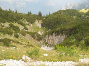 Vrtača