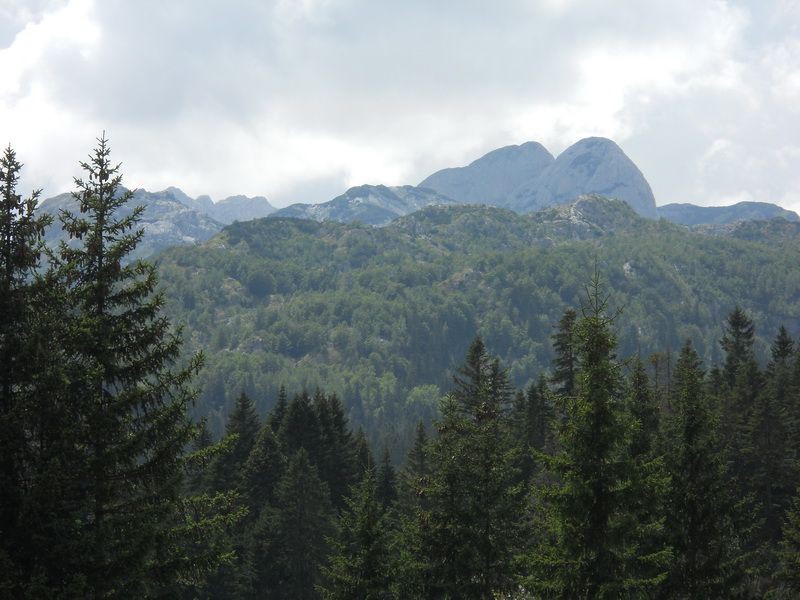 Zeleni se gora