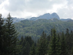 Zeleni se gora