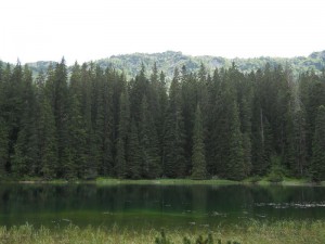 Zmijinje jezero