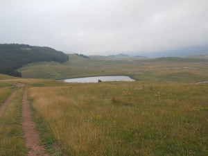 DSCN6212_resize