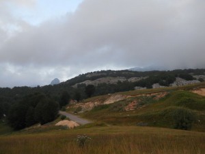 DSCN6213_resize