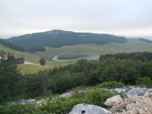 DSCN6214_resize