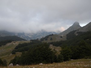 DSCN6215_resize