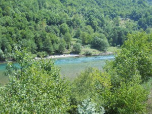 DSCN6376_resize