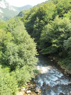 DSCN6394_resize