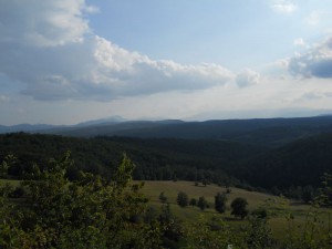 DSCN6406_resize