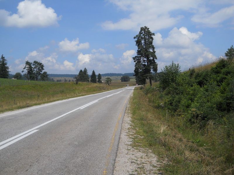 DSCN6440_resize