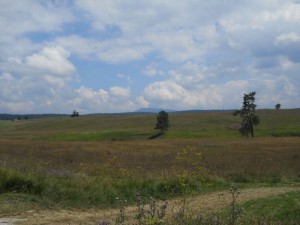 DSCN6443_resize