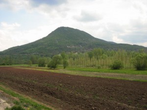 IMG_0723_resize