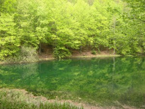 IMG_0756_resize