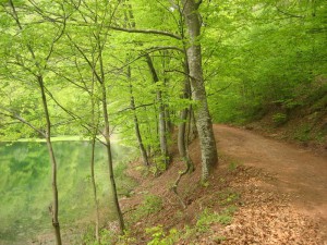 IMG_0757_resize