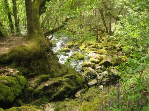IMG_0764_resize