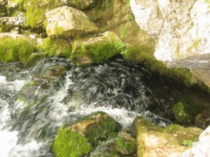 IMG_0766_resize