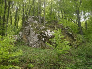 IMG_0789_resize