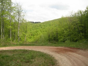 IMG_0797_resize