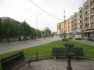 IMG_0800_resize