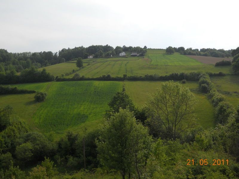 Rajački motiv