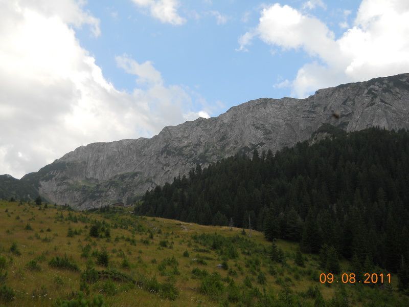 Hajla