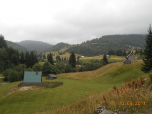 Katun Jelovica