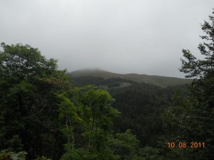 Pašnjaci na Bjelasici