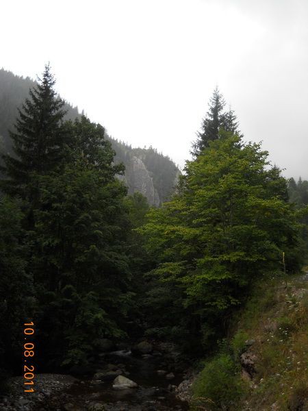 Pred katunom Jelovica