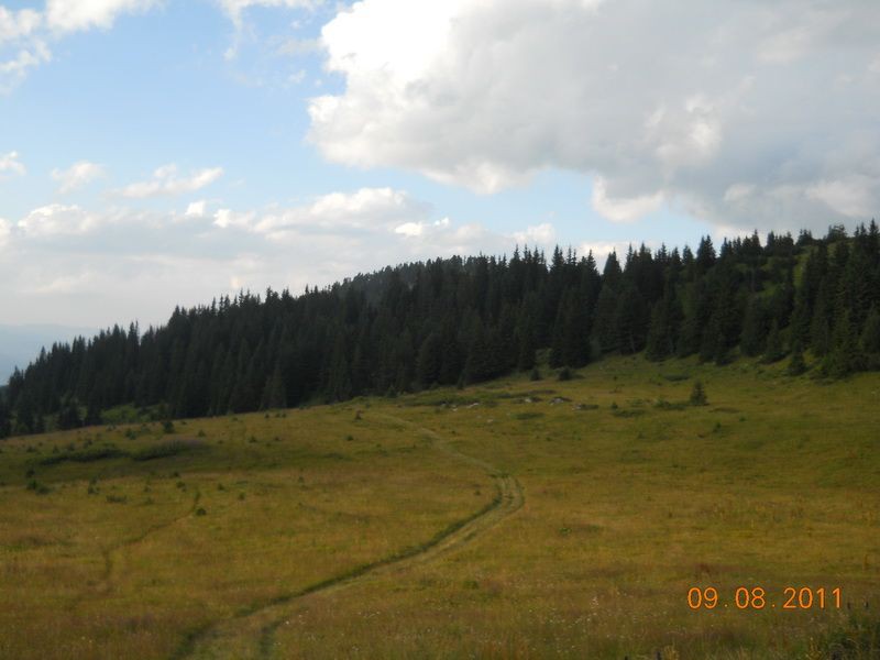 Proplanak na Hajli