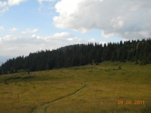 Proplanak na Hajli