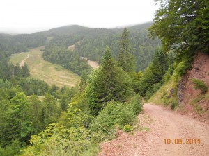 Ski staze bez snega