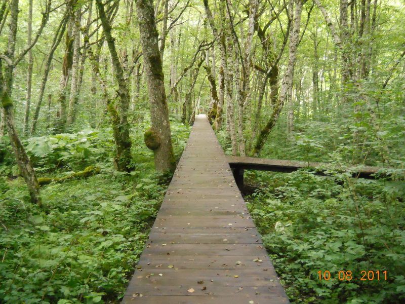 Causeway