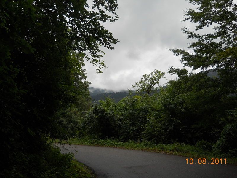 Kiša
