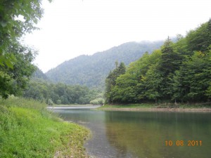 Mota jezero iza rta