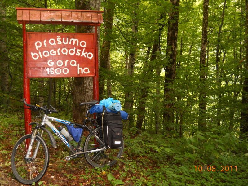 Piše