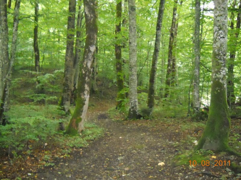 Stazica