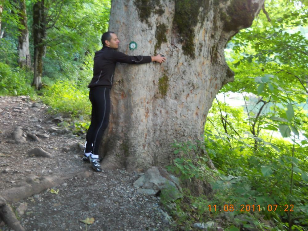 Tree hugging hippie
