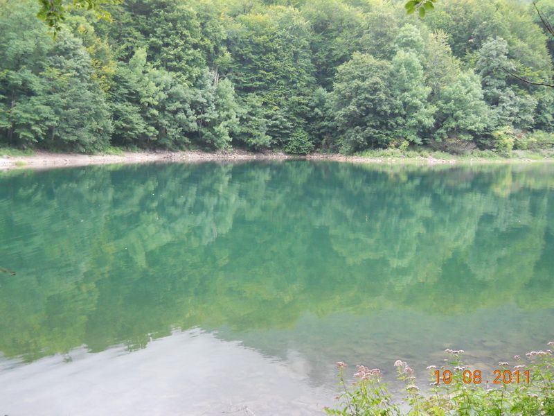 Zeleno..