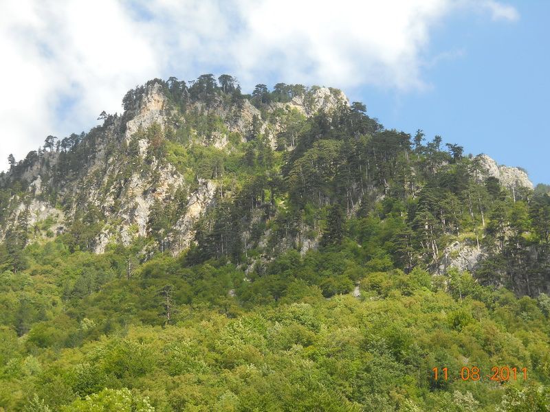 DSCN9359_resize